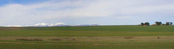 Boland winter.jpg (86242 bytes)