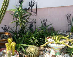 Gia.pots.ornaments.garden.succulents.jpg (151804 bytes)