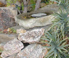 birdbath.jpg (103806 bytes)