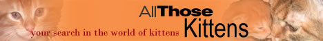 All Those Kittens