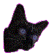 A.O.V.black.gif (5993 bytes)