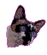 A.O.V.gif (4918 bytes)