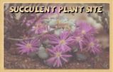 Conophytum_Succulent_Plant.jpg (5083 bytes)