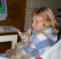 Petro.Toyger.oriental.cat.brown.tabby.may.2005_small.jpg (13348 bytes)
