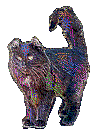 AmericanCurlJewel.gif (5822 bytes)