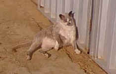 casper.party.fun.jpg (9690 bytes)