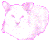cat.at.rest.gif (5181 bytes)