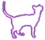 cat.outlines_small.gif (4048 bytes)