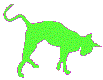 cat2.gif (4811 bytes)