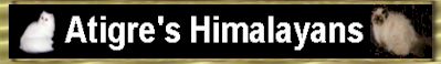 catbanner.jpg (8185 bytes)