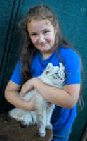 cindy.american-curl.lynxpoint.kitten.profile.2005.jpg (79614 bytes)