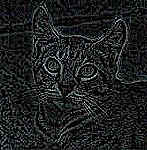 enchanted.cat.jpg (5998 bytes)