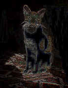 erich.red.cat.jpg (27171 bytes)