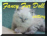 fancy.fur.jpg (7555 bytes)