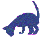 kitten.gif (2446 bytes)