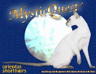 mystic.quest.banner.jpg (11671 bytes)