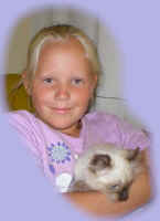 niggie.sealpoint.american.curl.kitten.2004.jpg (27220 bytes)