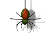 spider[1].gif (1350 bytes)