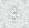 white_chalk_strokes_small.jpg (1827 bytes)