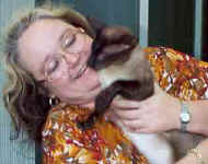 canto.siamese.stud1.jpg (8437 bytes)
