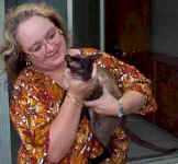 canto.siamese.stud.jpg (11852 bytes)