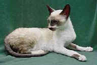 lbdb2.jpg (5765 bytes)