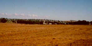 Moor.summer.jpg (40681 bytes)