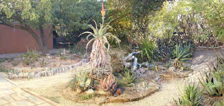 backdoor.garden..jpg (60068 bytes)