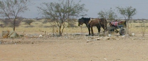 donkey.cart.jpg (30742 bytes)