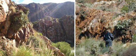 kogmansgorge.a_small.jpg (42679 bytes)