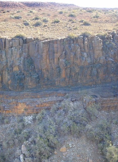 searching.aloes.donga.jpg (77928 bytes)