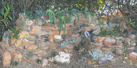 succulent.plants.wall.close-up.1.07.jpg (168741 bytes)