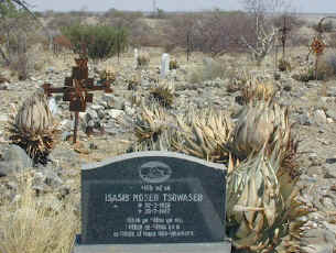 aloe.hereroensis.usakos.jpg (82792 bytes)