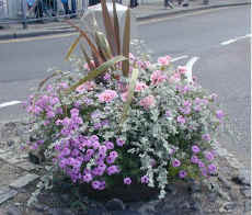 engeland.oog.op.die.pad.blomme.jpg (62817 bytes)