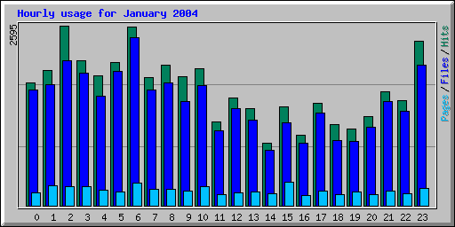Hourly usage for January 2004